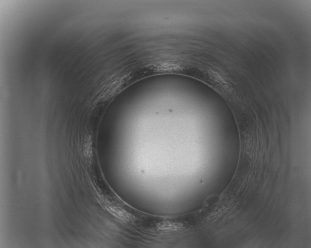 X0000060230549200511041233