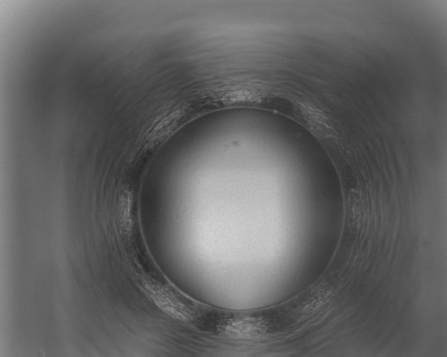 X0000060230550200511041233