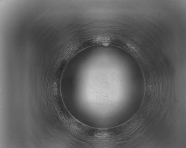 X0000060230551200511041233