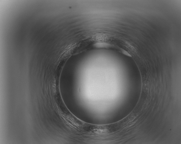 X0000060230552200511041233