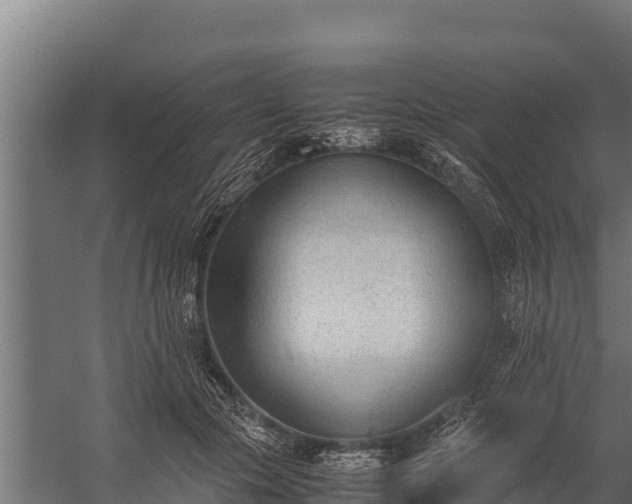 X0000060230553200511041233