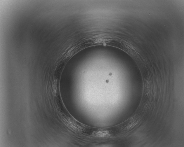 X0000060230554200511041233