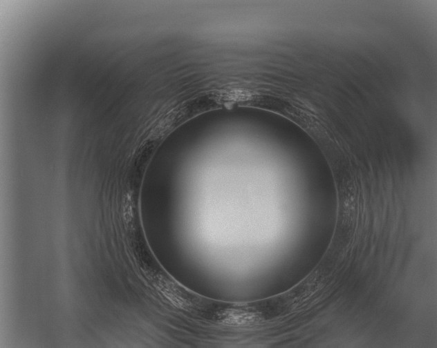 X0000060230555200511041233