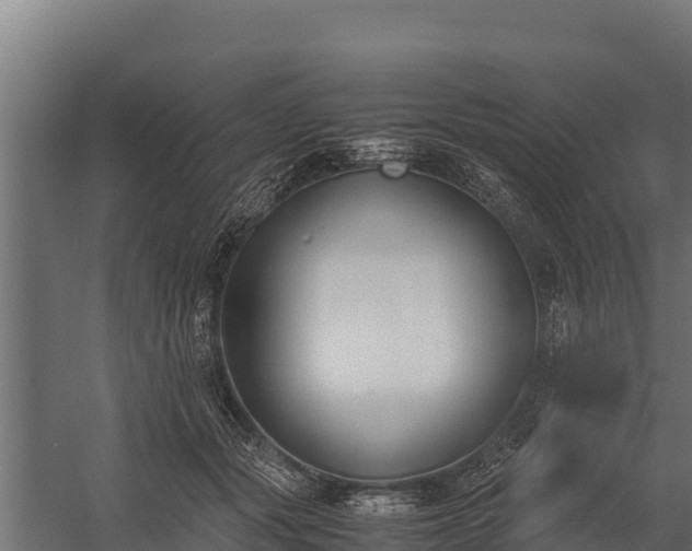 X0000060230557200511041233