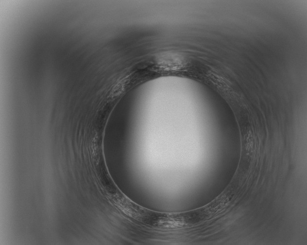 X0000060230559200511041233