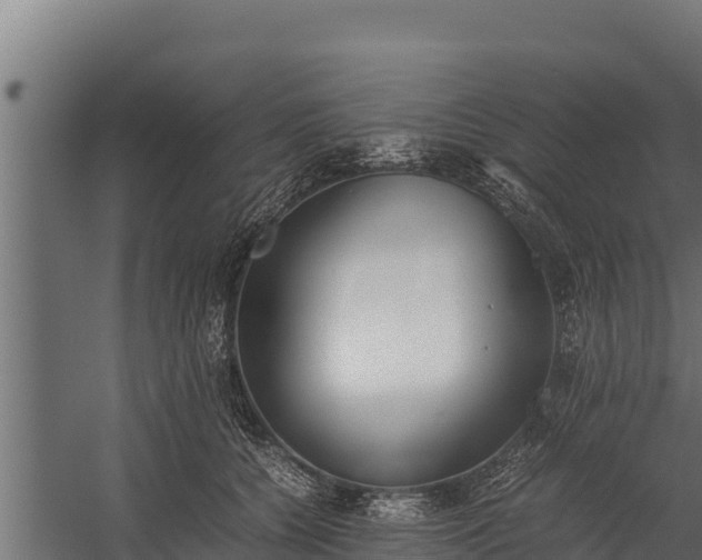 X0000060230560200511041233