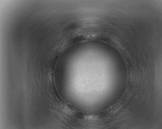 X0000060230561200511041233