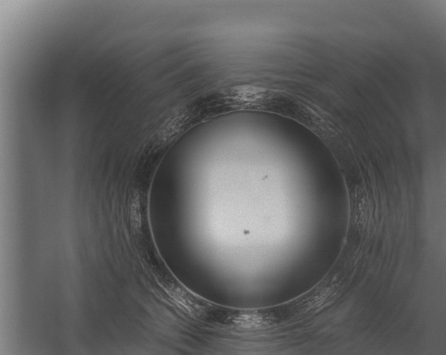 X0000060230562200511041233