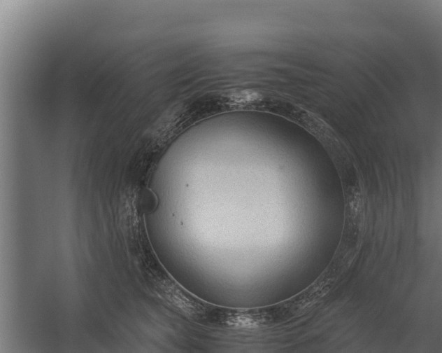 X0000060230565200511041234