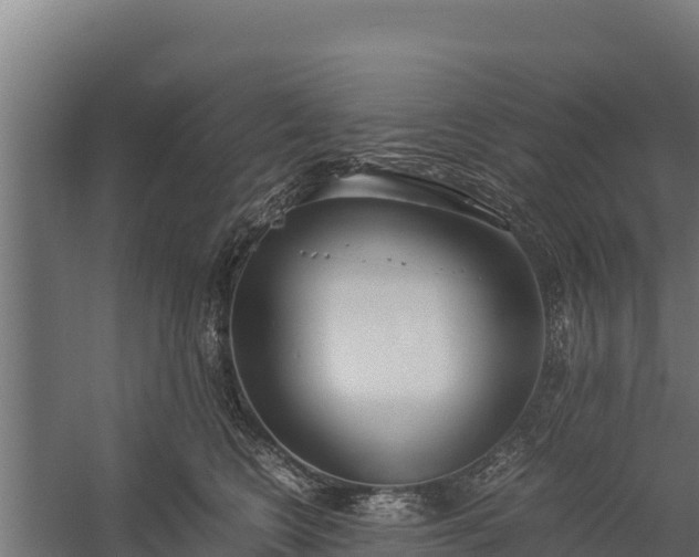 X0000060230566200511041234