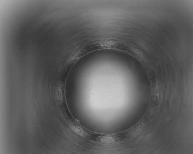 X0000060230572200511041234