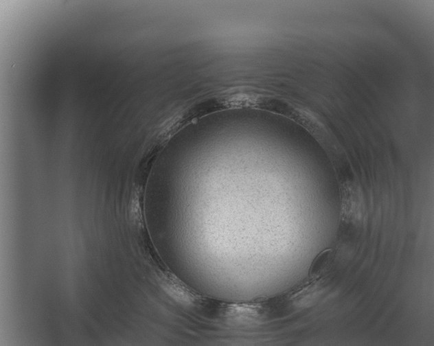 X0000060230573200511041234