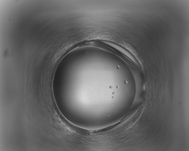 X0000060230577200511041233