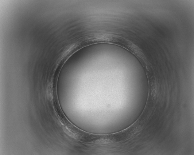 X0000060230578200511041233