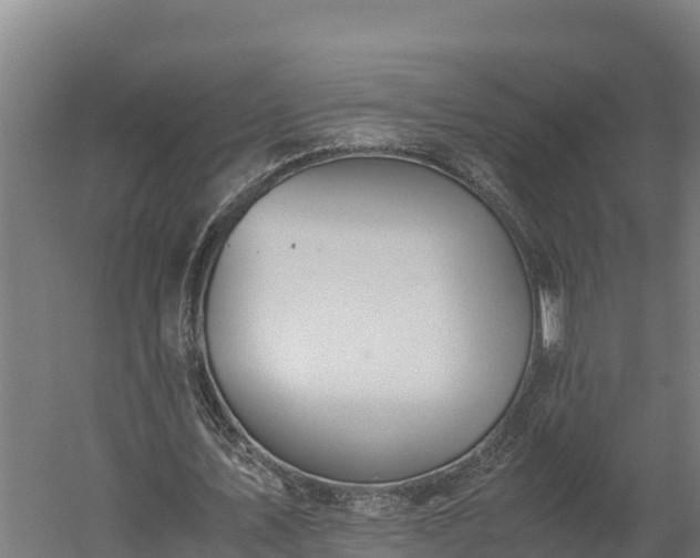 X0000060230579200511041233