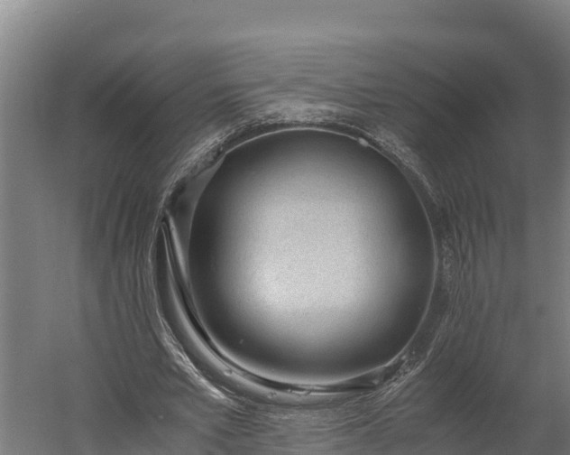 X0000060230581200511041233