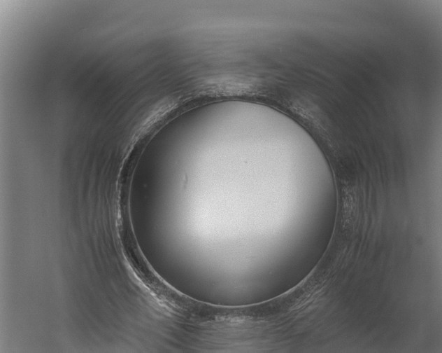 X0000060230582200511041233