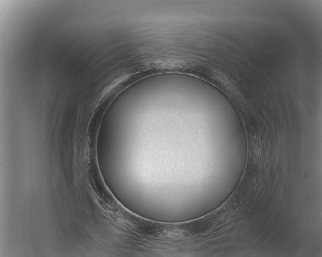 X0000060230583200511041233