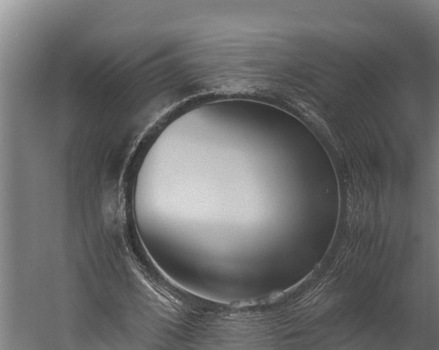 X0000060230584200511041233