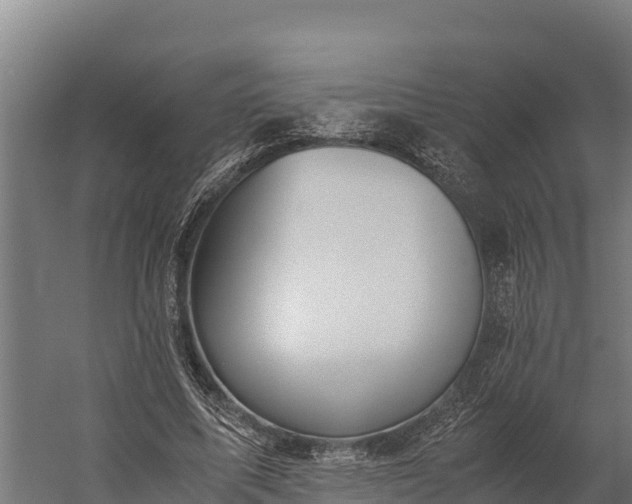 X0000060230587200511041233