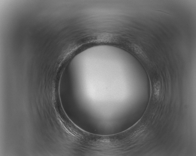 X0000060230588200511041233