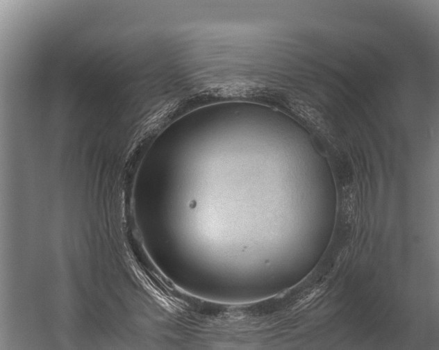 X0000060230589200511041233