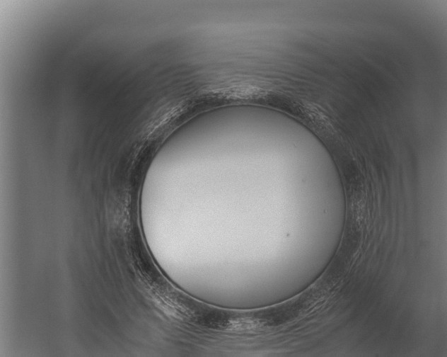 X0000060230591200511041233