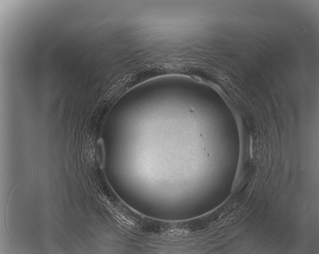 X0000060230593200511041233