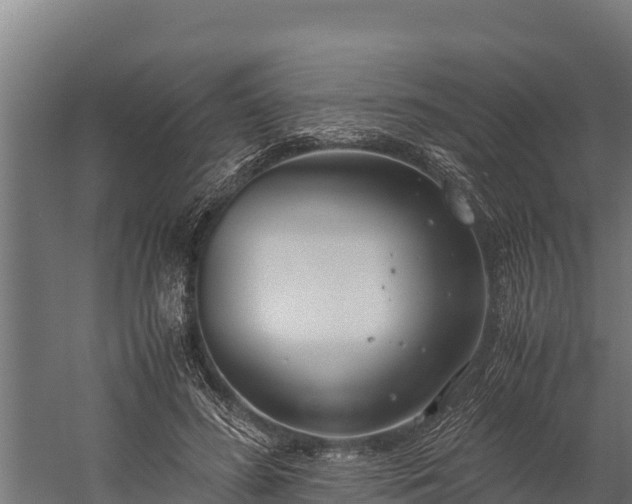 X0000060230596200511041233