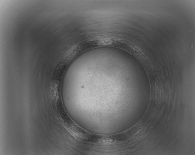 X0000060230598200511041233