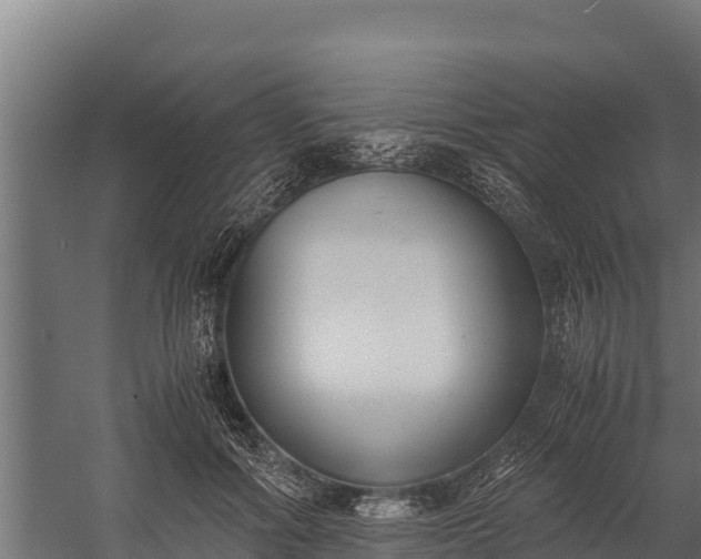 X0000060230602200511041232