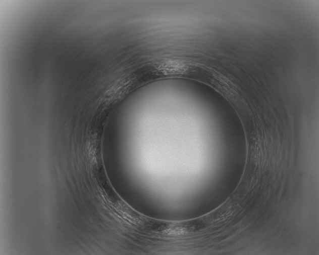 X0000060230604200511041232