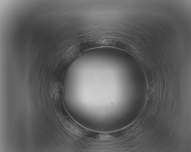 X0000060230605200511041232