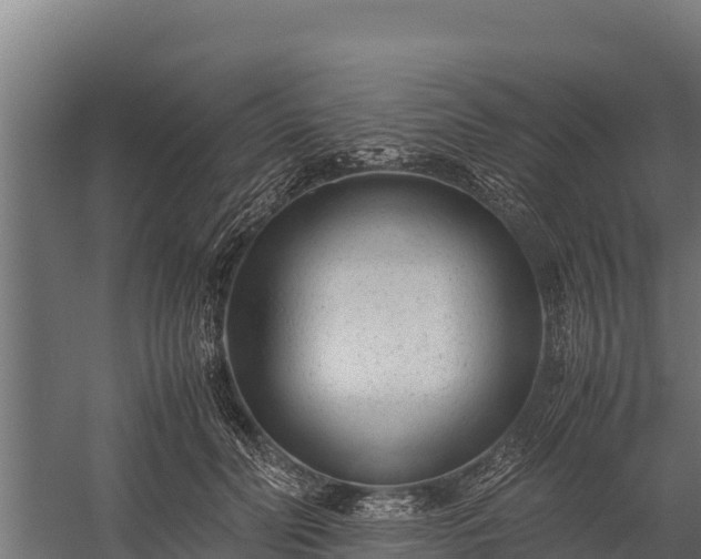 X0000060230606200511041232