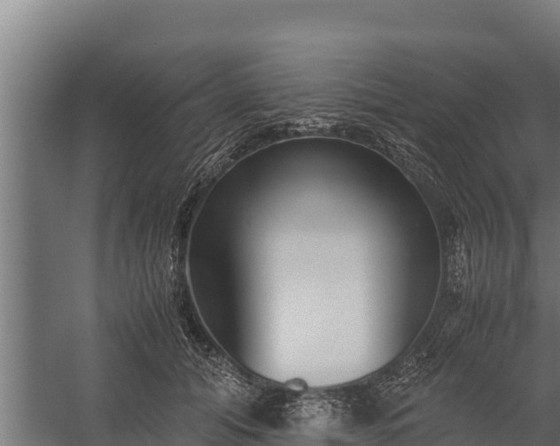 X0000060230608200511041232