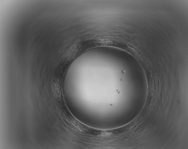 X0000060230609200511041232