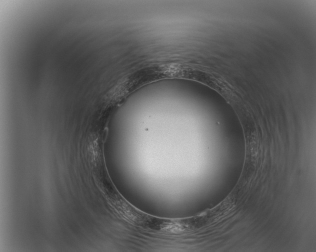 X0000060230611200511041232