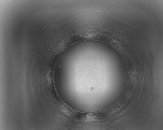 X0000060230612200511041232