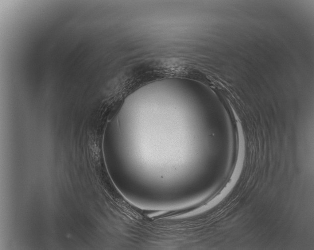 X0000060230613200511041232