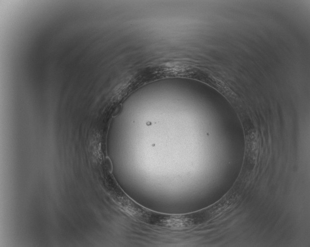 X0000060230615200511041232