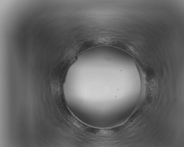 X0000060230617200511041232