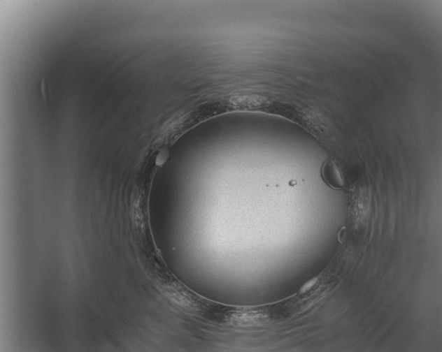 X0000060230619200511041232