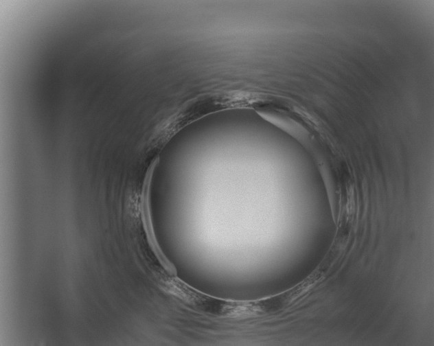 X0000060230621200511041232