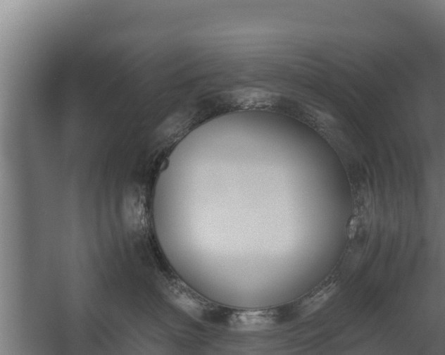 X0000060230622200511041232