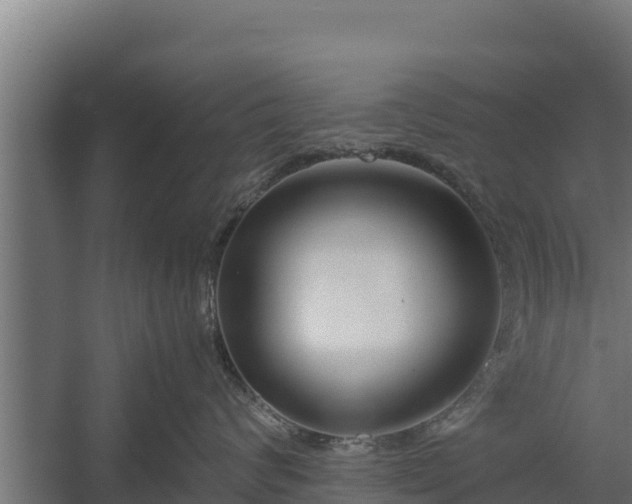 X0000060230624200511041232