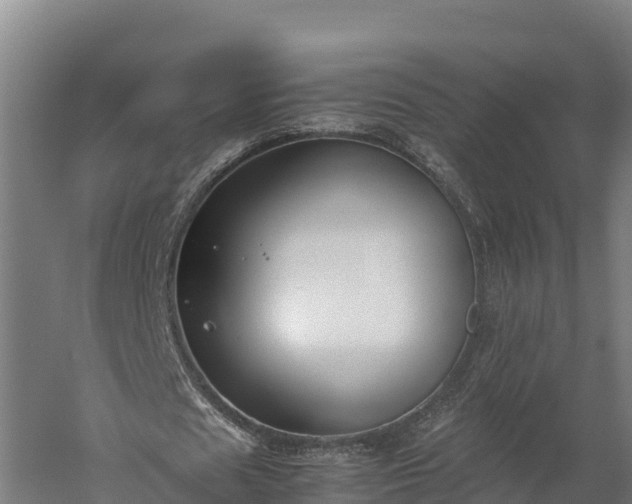 X0000060230625200511041231