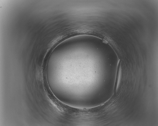 X0000060230626200511041231