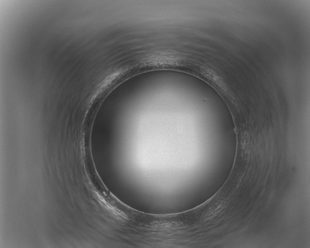 X0000060230629200511041231