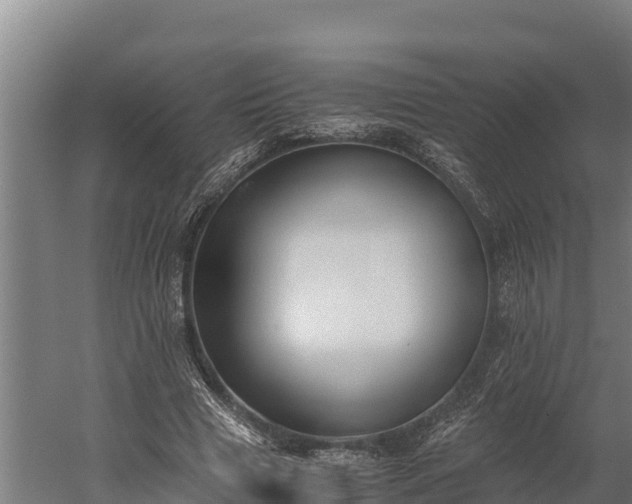 X0000060230633200511041231