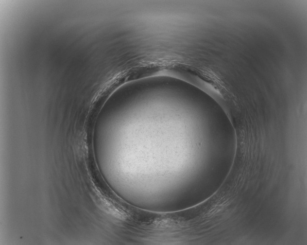 X0000060230634200511041231